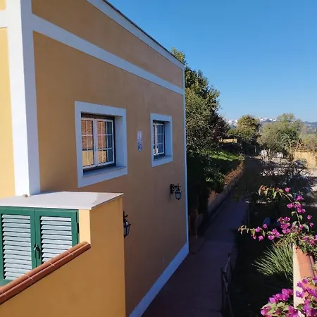 Rosa - Quinta Do Santo Espirito