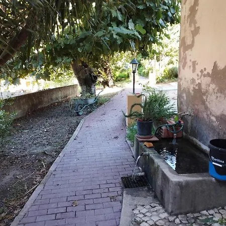 Rosa - Quinta Do Santo Espirito Dom wakacyjny