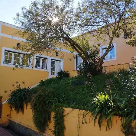 Rosa - Quinta Do Santo Espirito *